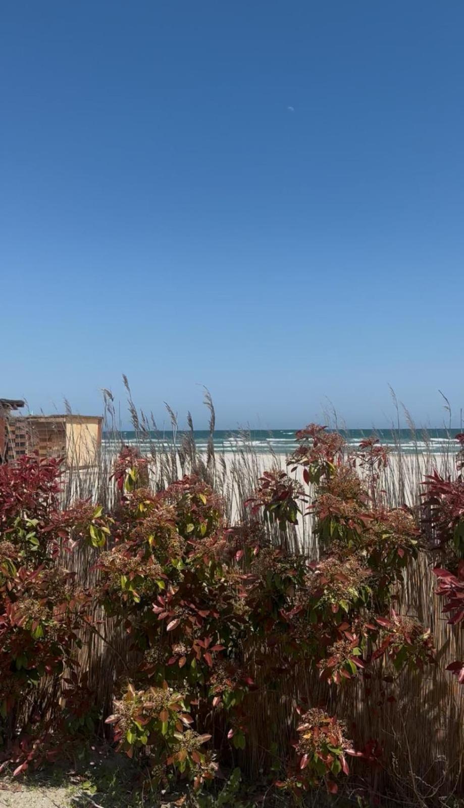 Sea View Luxury Apartament Năvodari Esterno foto